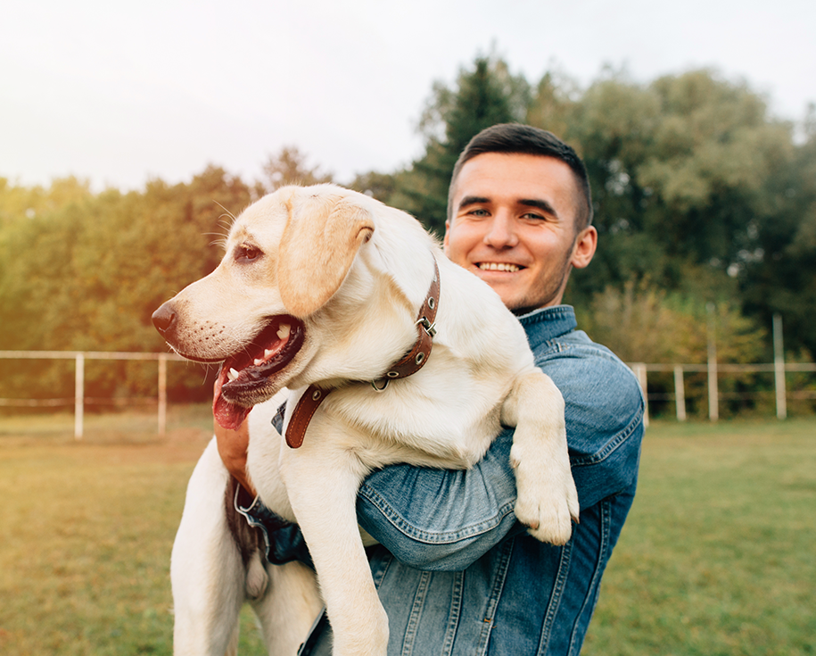 hero_image_07 https://pets.symelo.com/wp-content/uploads/2019/07/hero_image_07.png